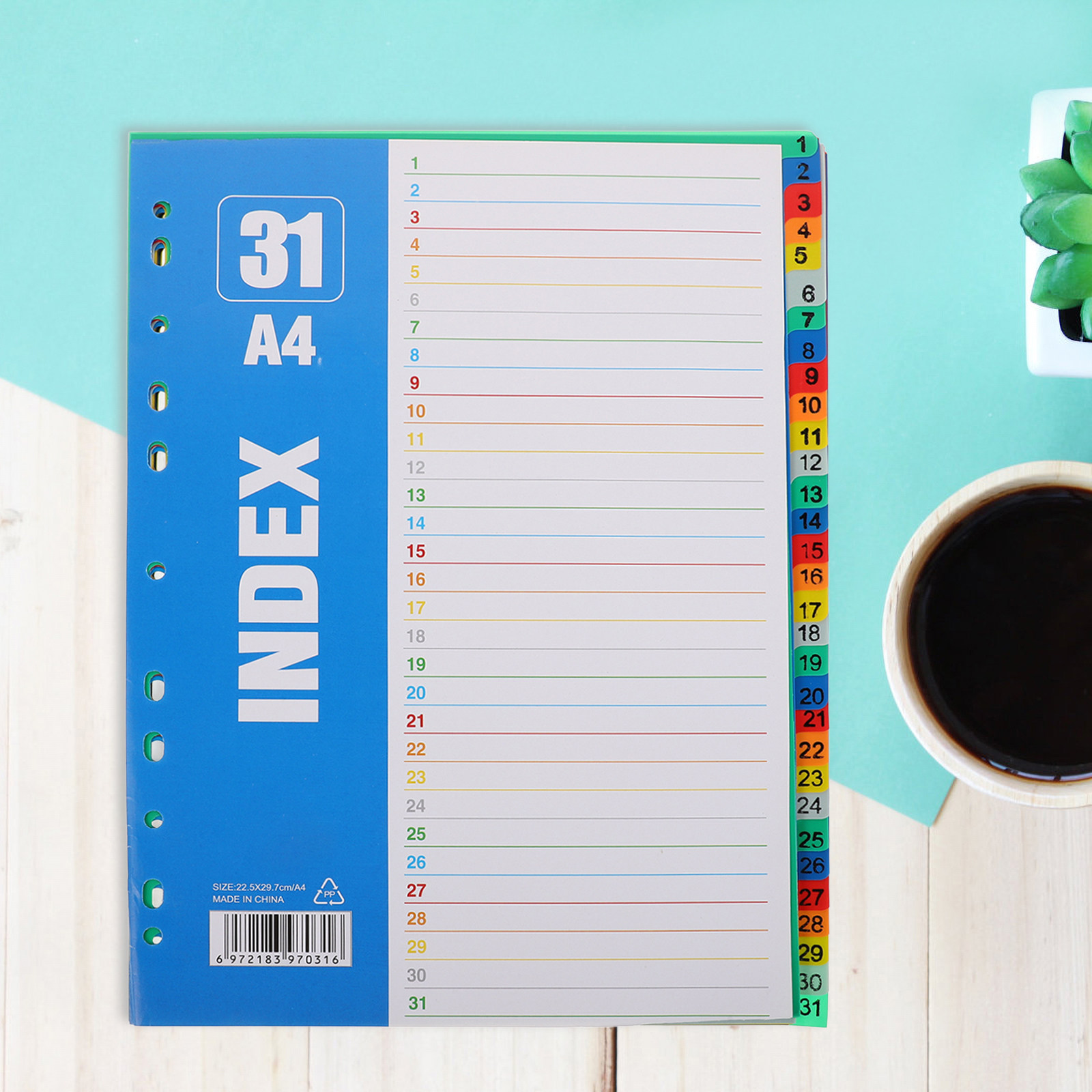 1Set A4 11-Hole Plastic Index  - Tab Divider A4 ulasan dan harga