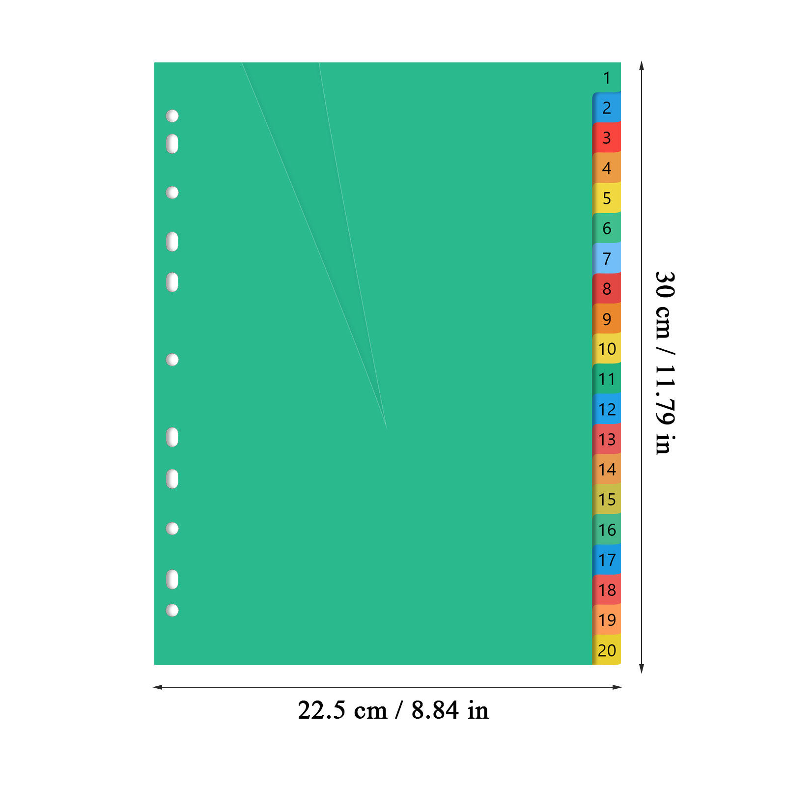 20 Pages A4 Size Color Coded P - Tab Divider A4 ulasan dan harga