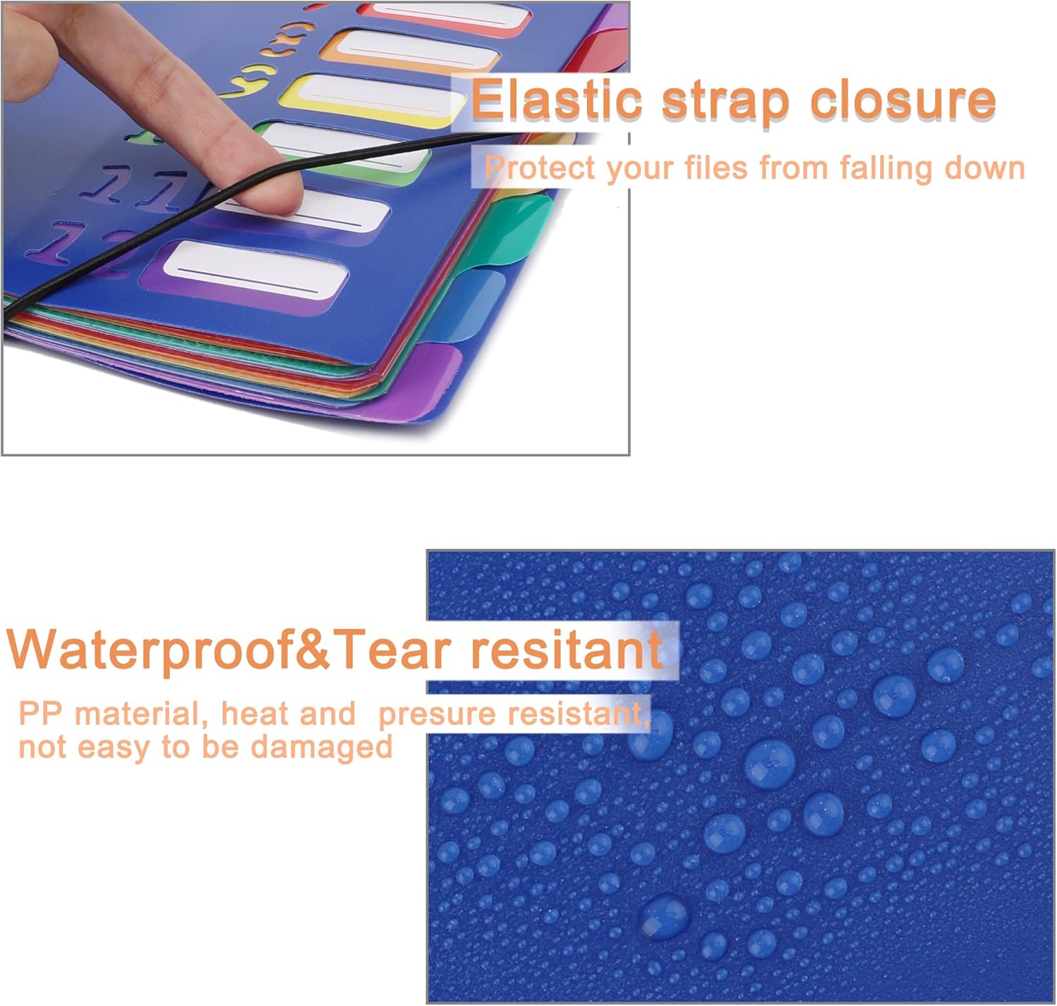 A4 Size Rainbow Tab Expanding  - Tab Divider A4 ulasan dan harga